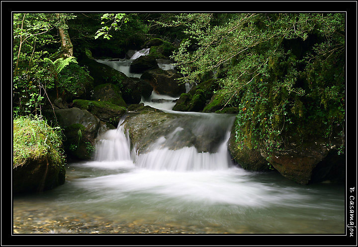 celli.jpg - Le Celli, vallée d'Ossau, 64