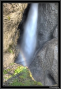 suisse2