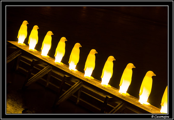 Prague4.jpg - Prague - les pingouins