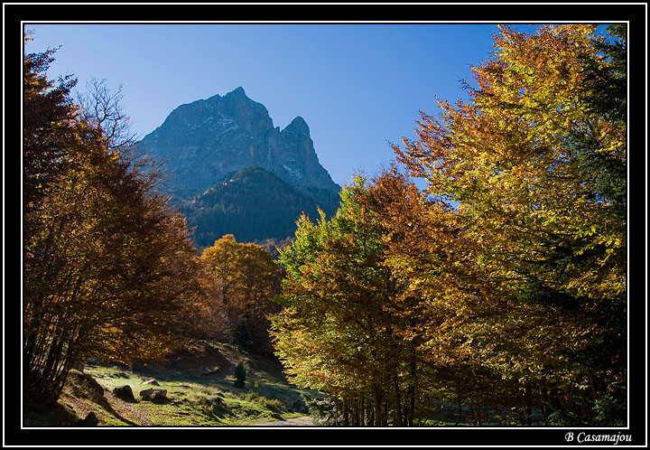 bious2.jpg - Pic du Midi d'Ossau en automne