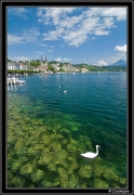 Lucerne1