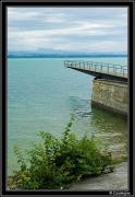 neufchatel