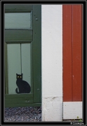 Gavle_Suede2